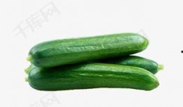 翰林府免费吃瓜网,揭秘娱乐圈幕后故事，带你畅游娱乐盛宴